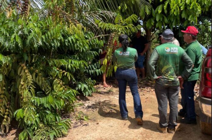 AFB AGRO