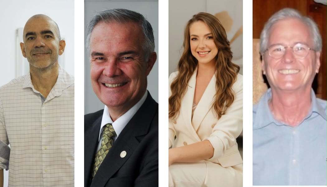 Os médicos Marco Orsini, Acary SB Oliveira, Luiza Travalloni e Carlos Henrique Melo Reis defendem o termo "Organização Artificial".