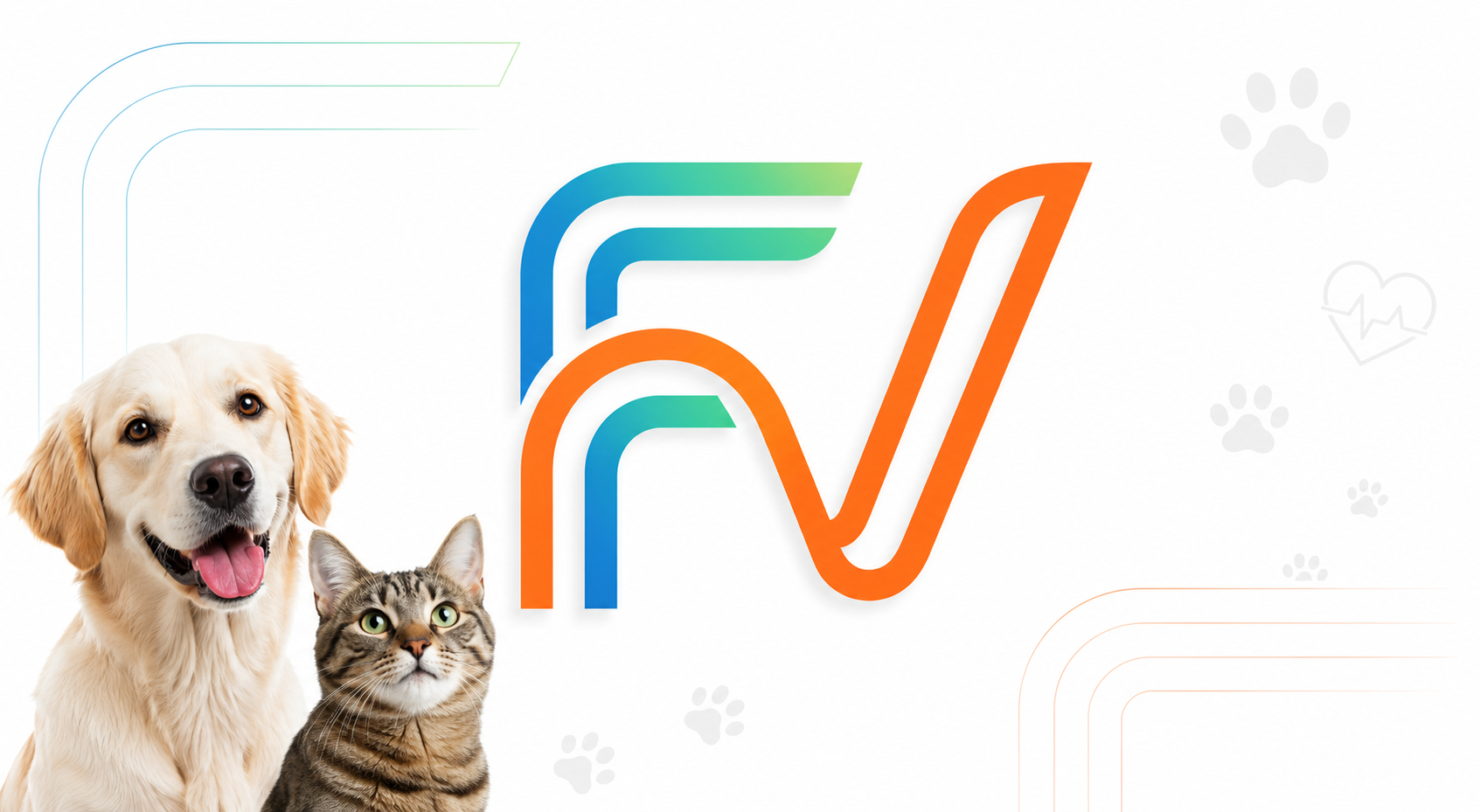 Formavet busca capacitar médicos veterinários para garantir a segurança do exame laboratorial à conduta clínica.